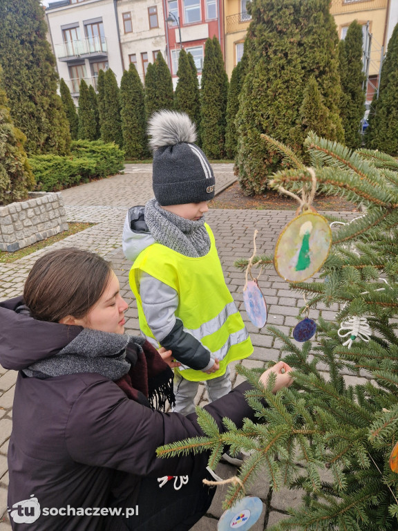 23 choinki na placu Kościuszki udekorowane