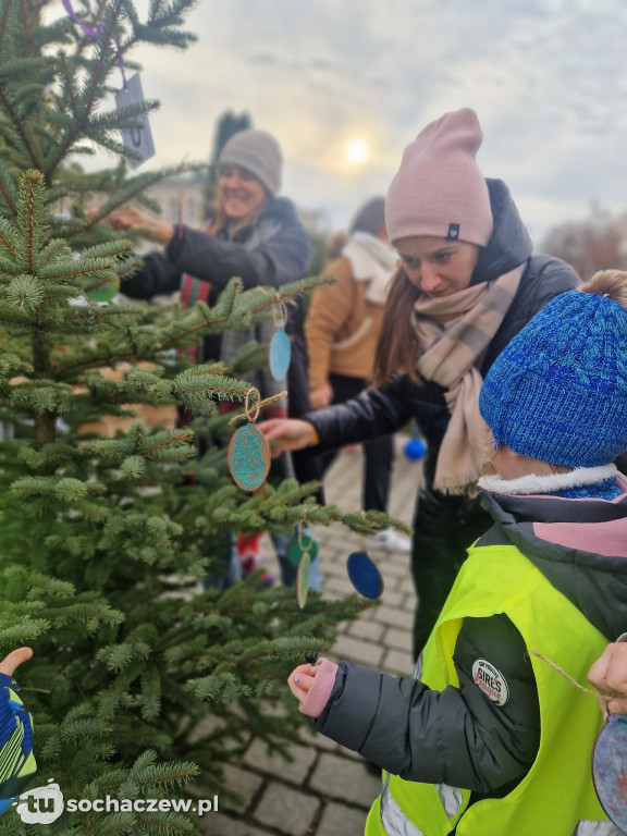 23 choinki na placu Kościuszki udekorowane