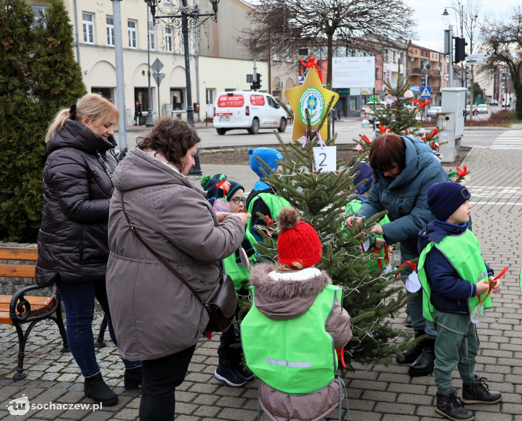 23 choinki na placu Kościuszki udekorowane