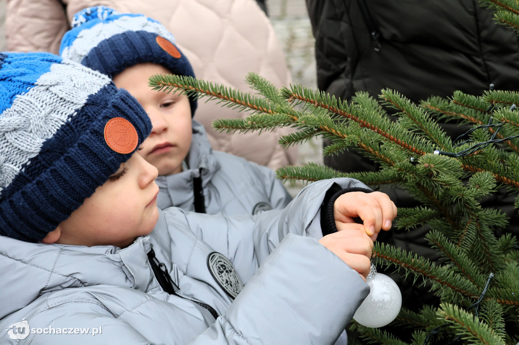 23 choinki na placu Kościuszki udekorowane