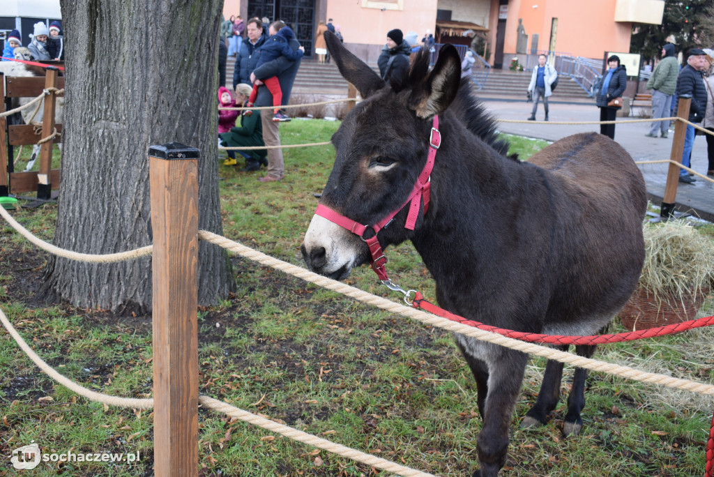 Orszak Trzech Króli Sochaczew 2025