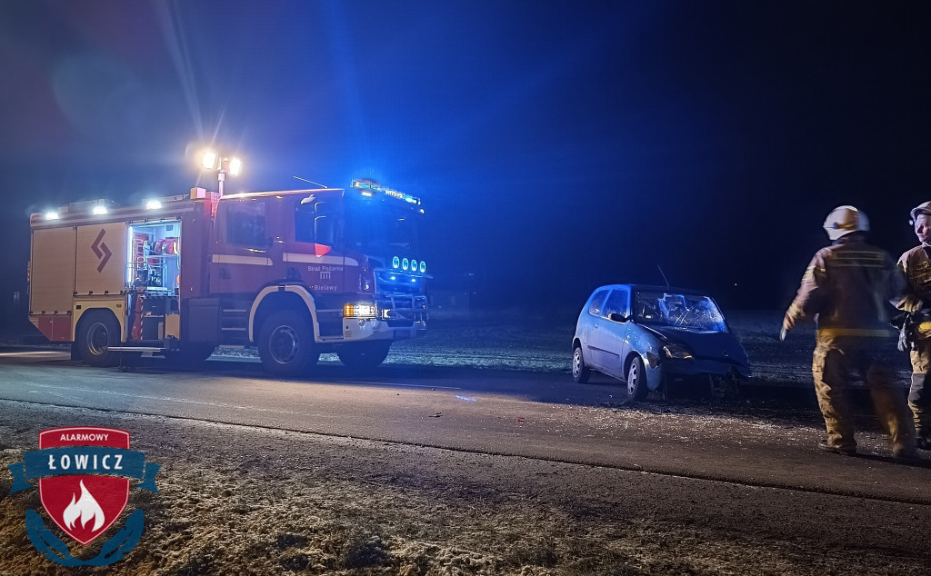 Wypadek z udziałem kaczki pod Łowiczem