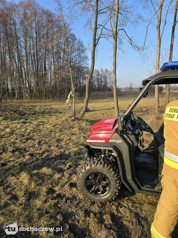 Ludzkie zwłoki w Puszczy Kampinoskiej