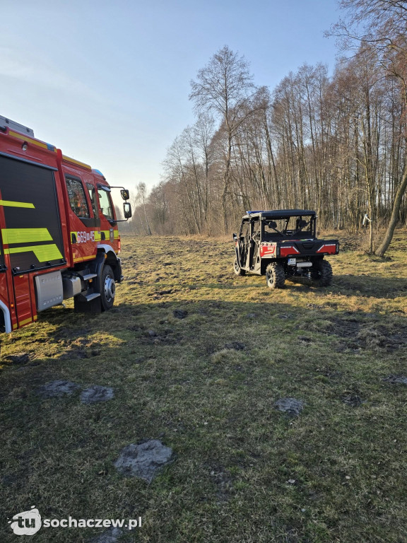 Ludzkie zwłoki w Puszczy Kampinoskiej