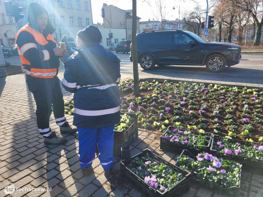 Przedwiośnie na placu Kościuszki