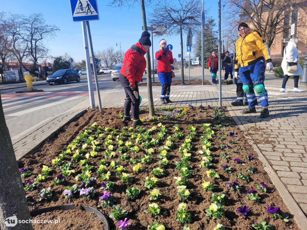 Przedwiośnie na placu Kościuszki