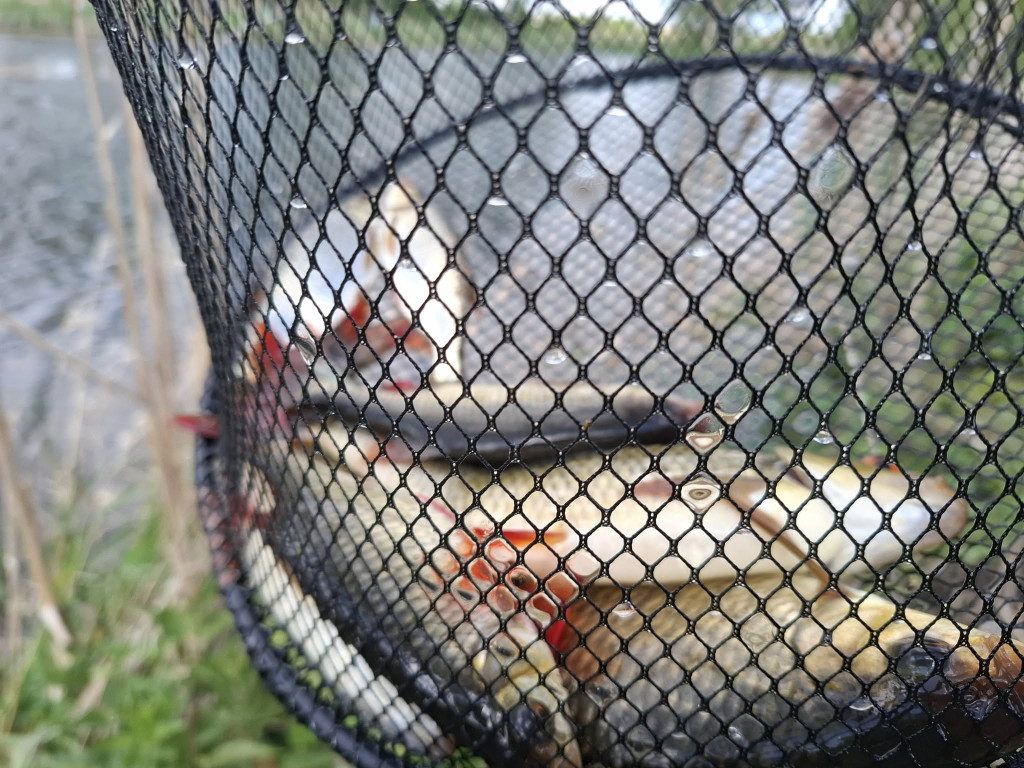 Zawody wędkarskie w Rybnie