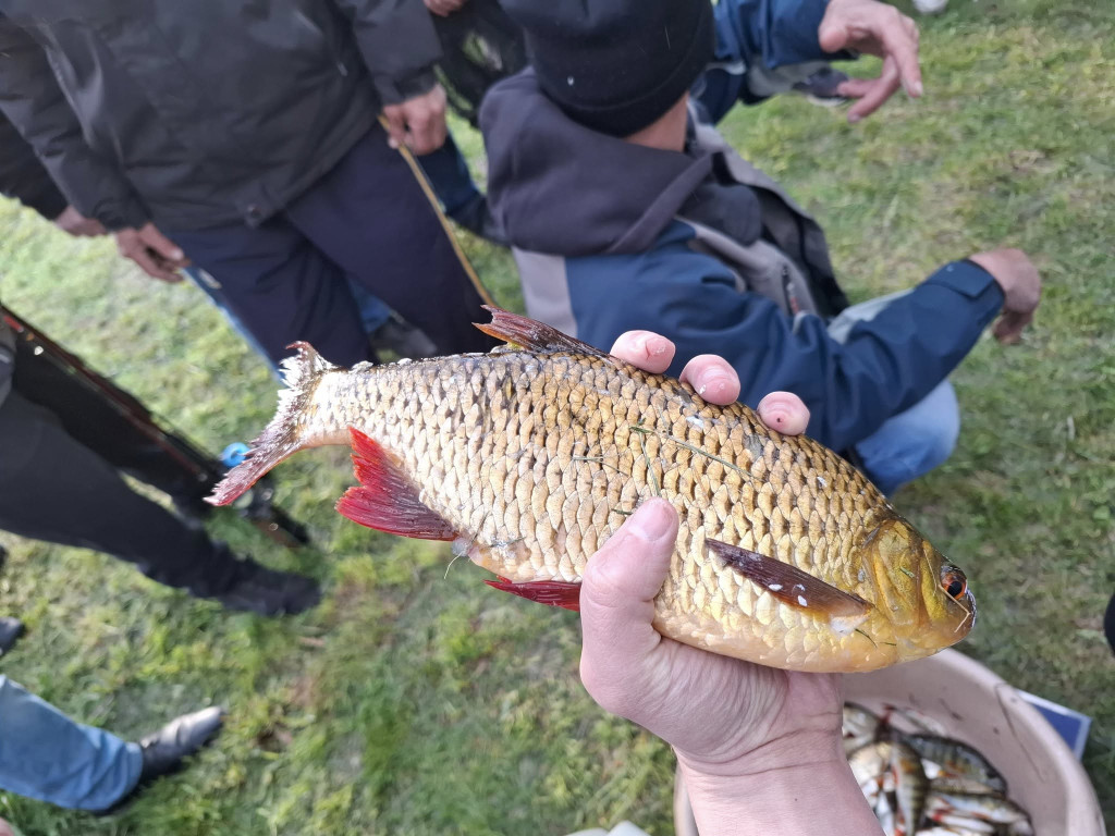 Zawody wędkarskie w Rybnie
