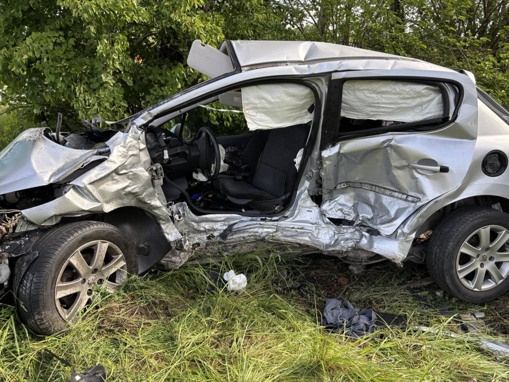 Śmiertelny wypadek w Jeżówce