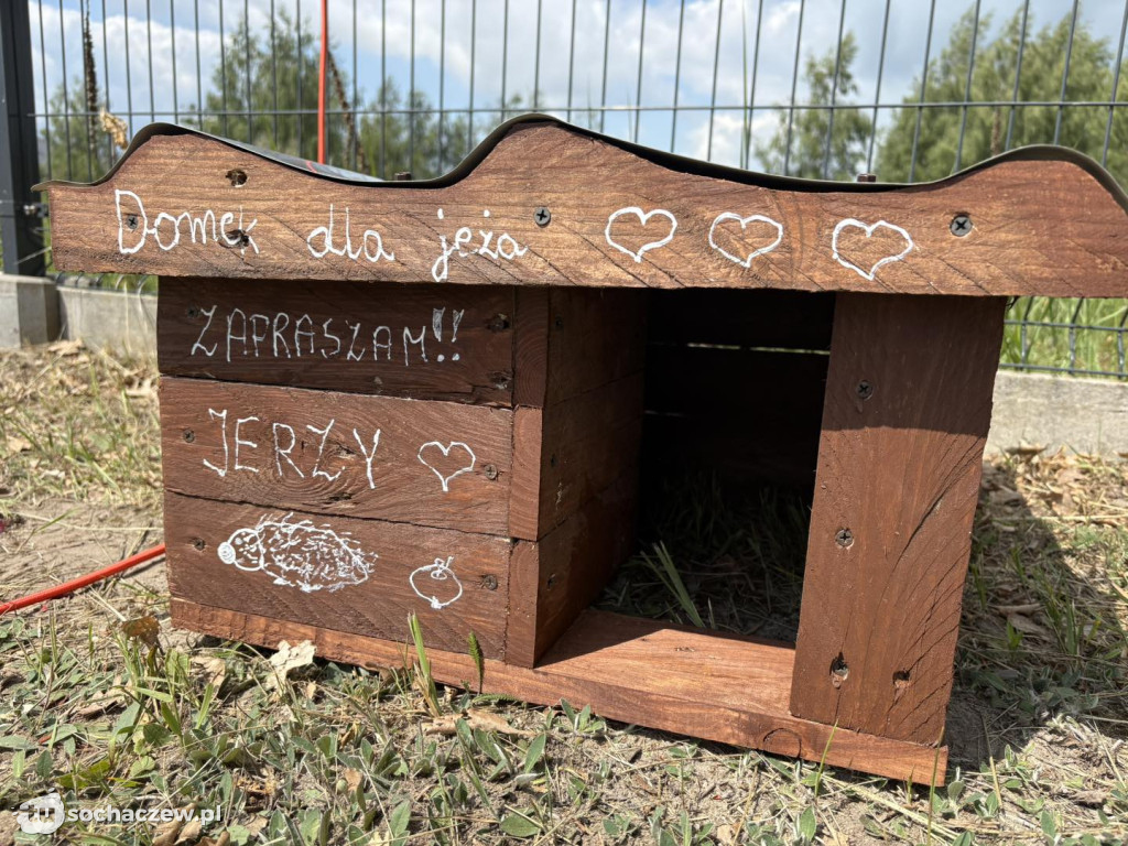 Zielony Czas Pomagania w Altance