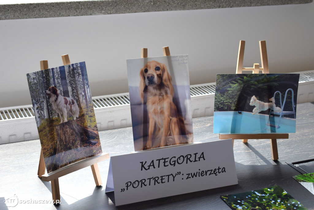 Powiatowy konkurs fotograficzny rozstrzygnięty