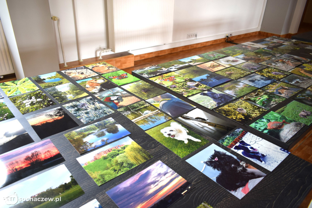 Powiatowy konkurs fotograficzny rozstrzygnięty
