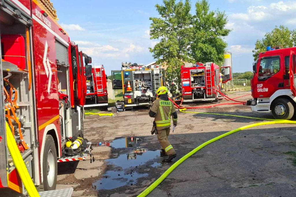 Pożar kurnika w Rokotowie