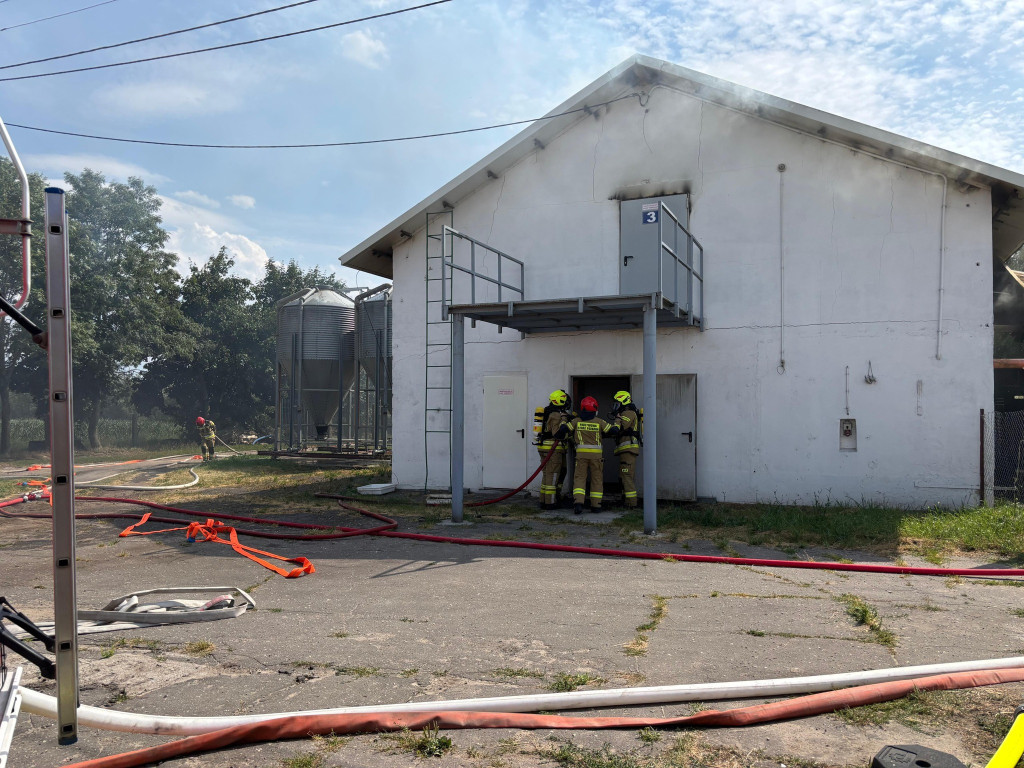 Pożar kurnika w Rokotowie