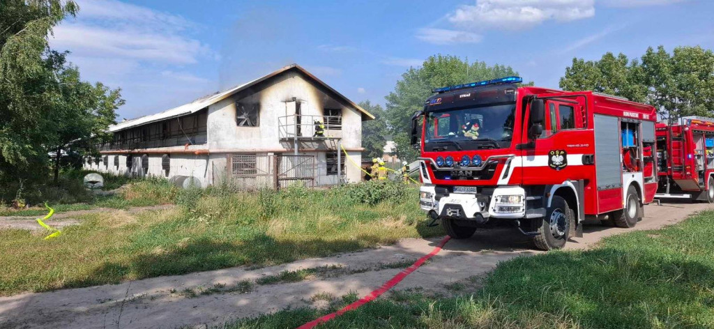Pożar kurnika w Rokotowie
