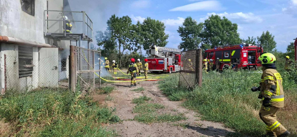 Pożar kurnika w Rokotowie