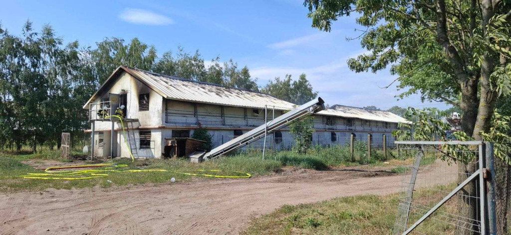 Pożar kurnika w Rokotowie