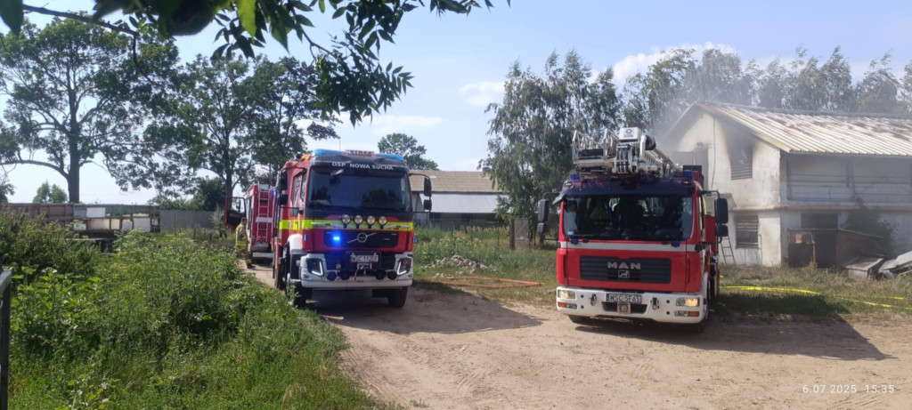 Pożar kurnika w Rokotowie