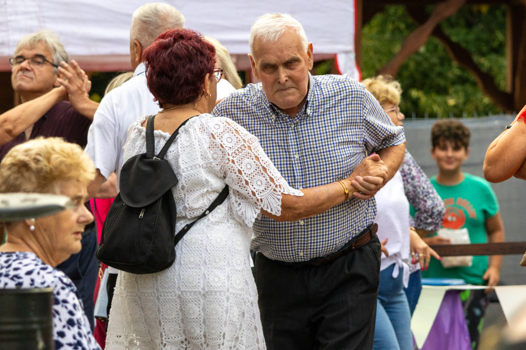 Fajfy w Młodzieszynie