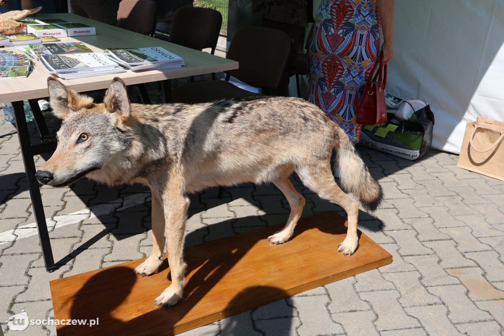Piknik edukacyjny z okazji Święta Policji