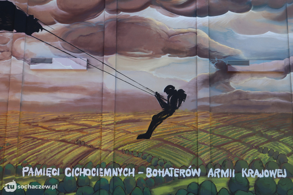 Brzozów Stary z pokazem skoków spadochronowych