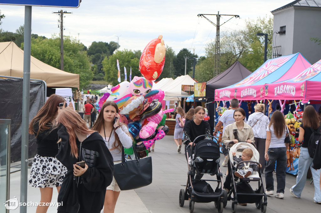 WSC Festiwal 2025 wystartował!