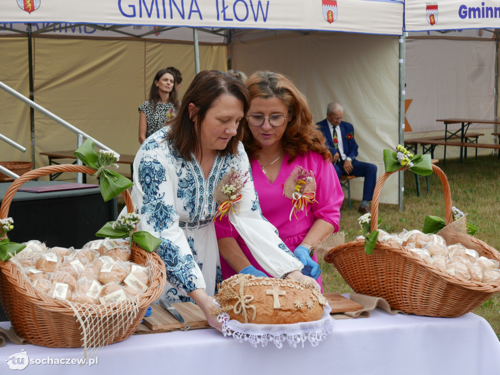 Dożynki gminy Iłów 2025