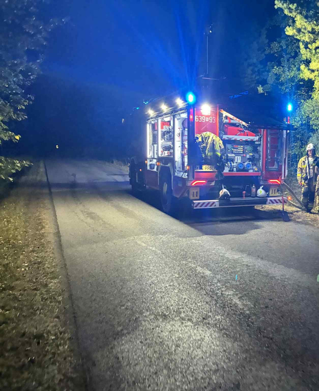 Pożar lasu w Plecewicach