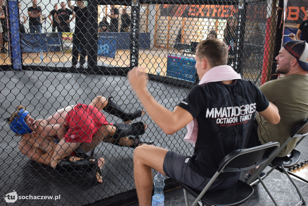 Mistrzostwa Europy Amatorskiego MMA