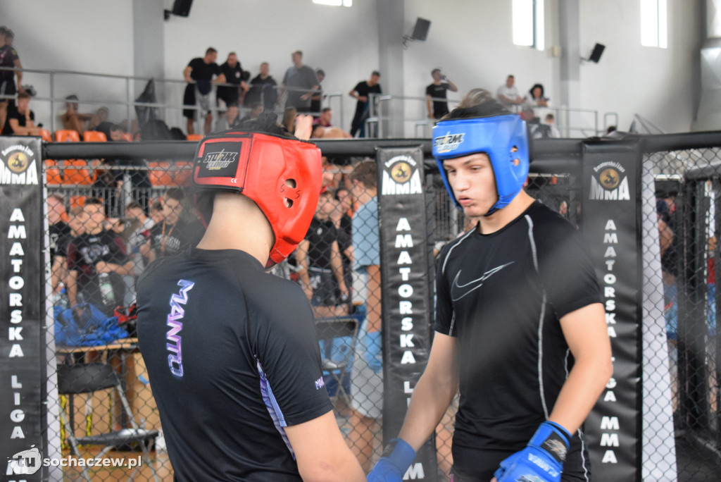 Mistrzostwa Europy Amatorskiego MMA