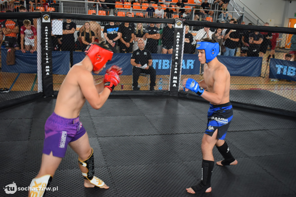 Mistrzostwa Europy Amatorskiego MMA