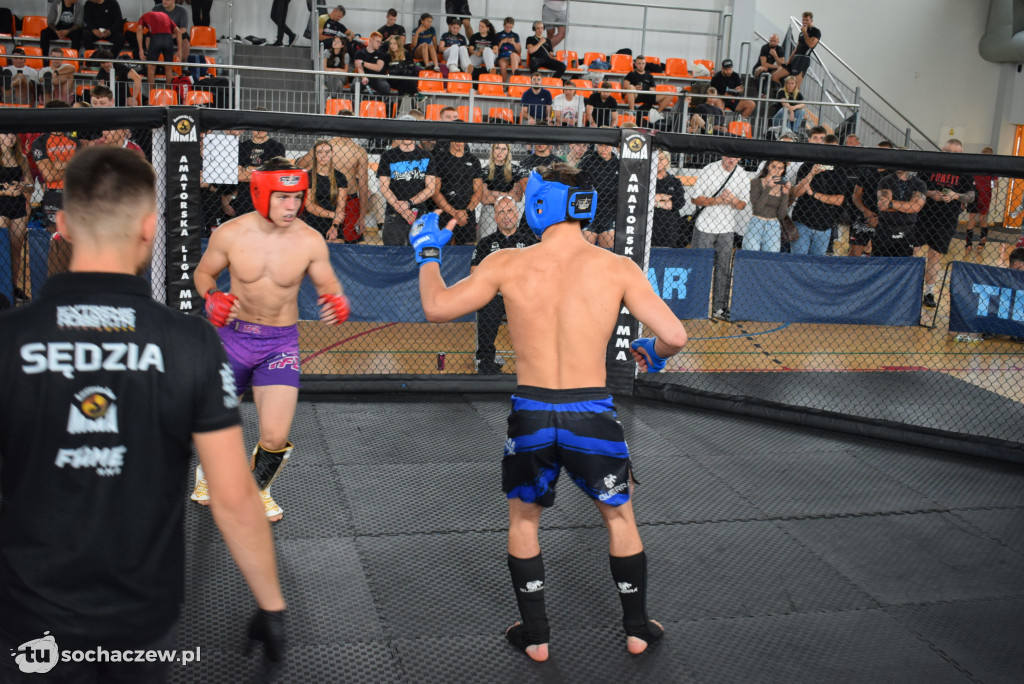 Mistrzostwa Europy Amatorskiego MMA