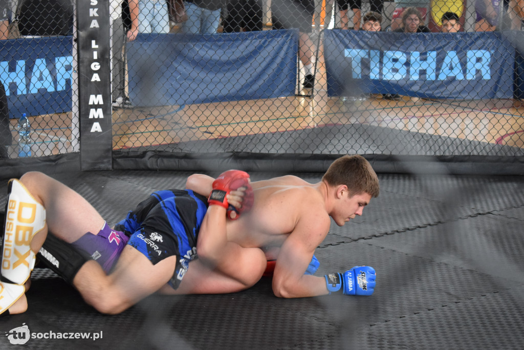 Mistrzostwa Europy Amatorskiego MMA