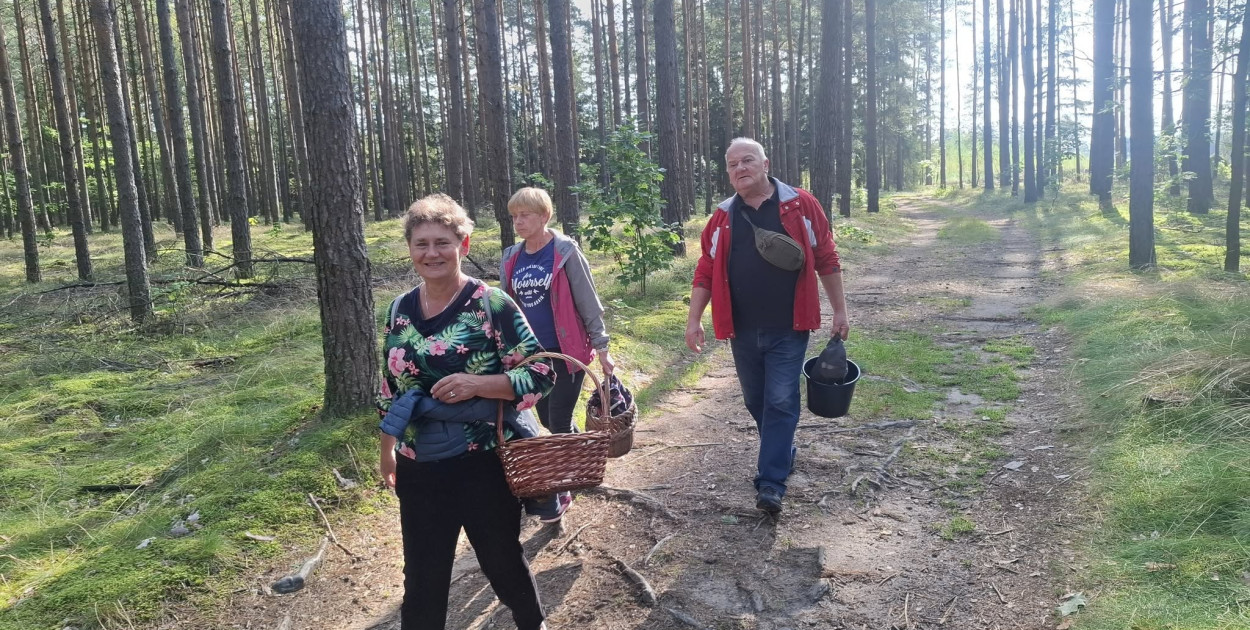 Mieszkańcy Rybna na grzybobraniu