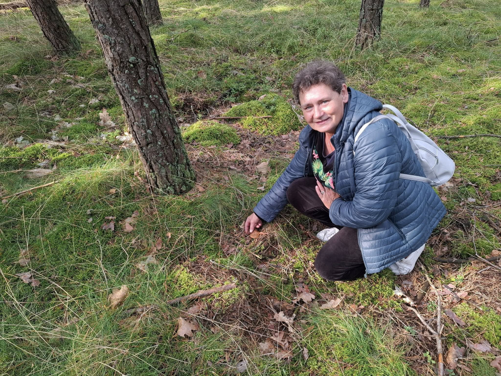 Mieszkańcy Rybna na grzybobraniu