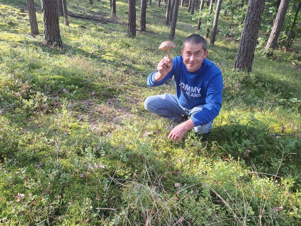 Mieszkańcy Rybna na grzybobraniu