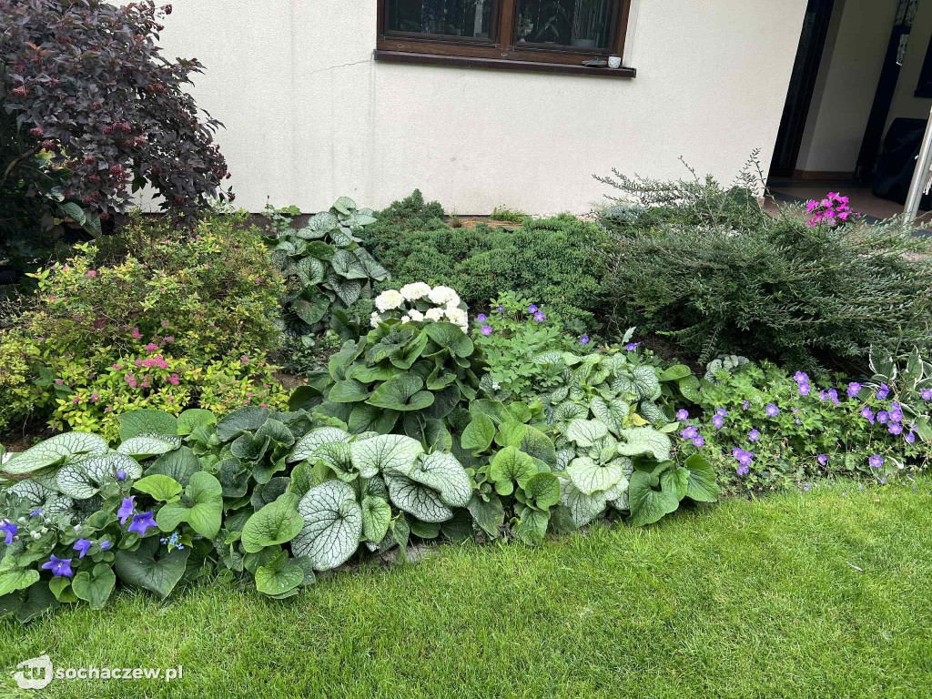 Najładniejsze ogrody w Gminie Rybno