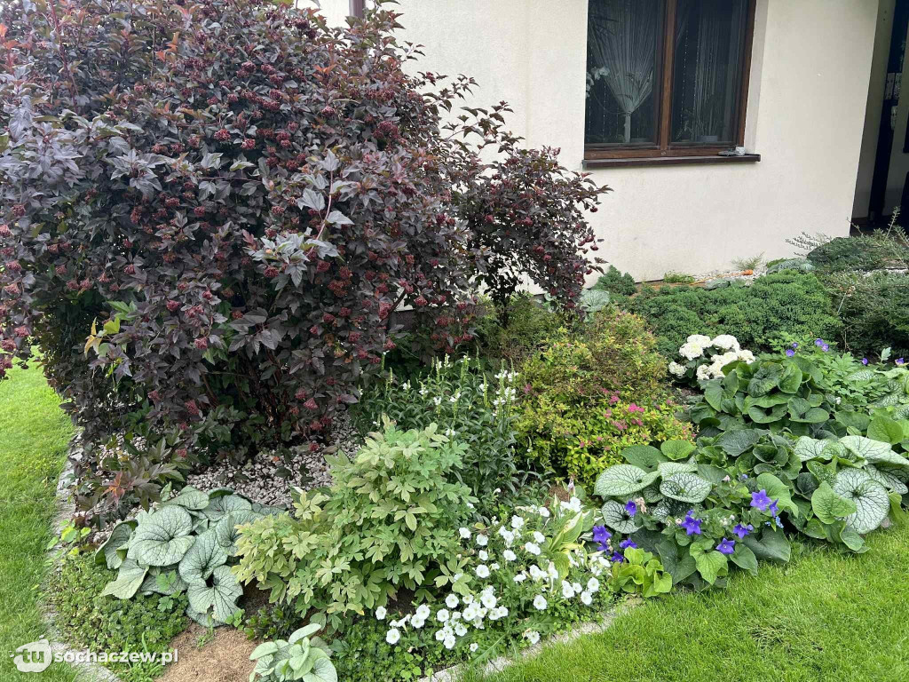 Najładniejsze ogrody w Gminie Rybno