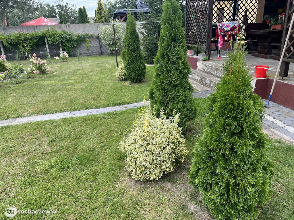Najładniejsze ogrody w Gminie Rybno