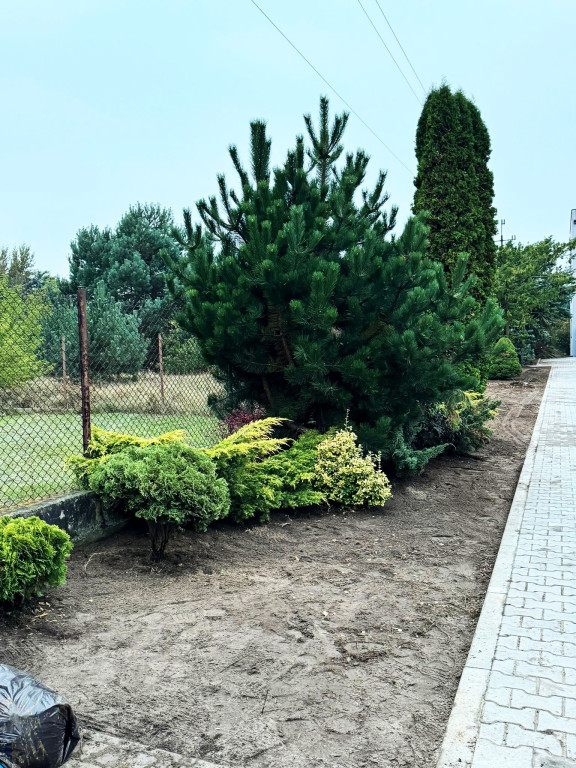 Trwają prace nasadzeniowe przy szkołach w Młodzieszynie i Janowie