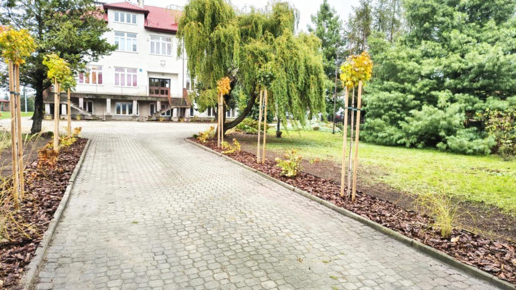 Trwają prace nasadzeniowe przy szkołach w Młodzieszynie i Janowie