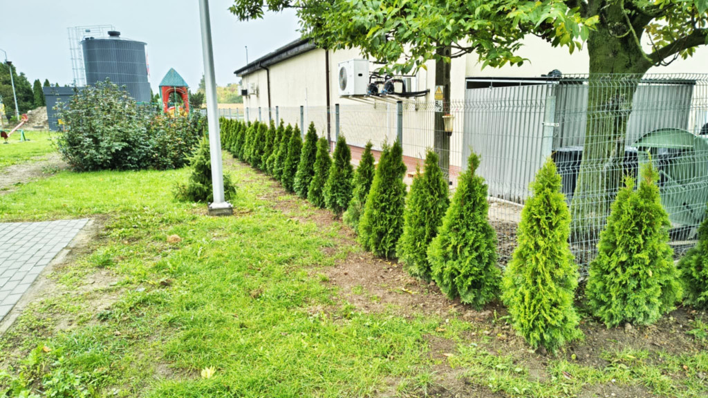 Trwają prace nasadzeniowe przy szkołach w Młodzieszynie i Janowie