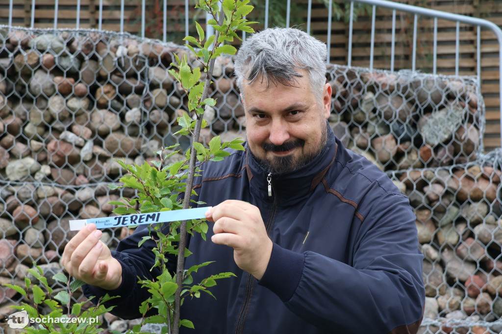 41 nowych drzew na bulwarach