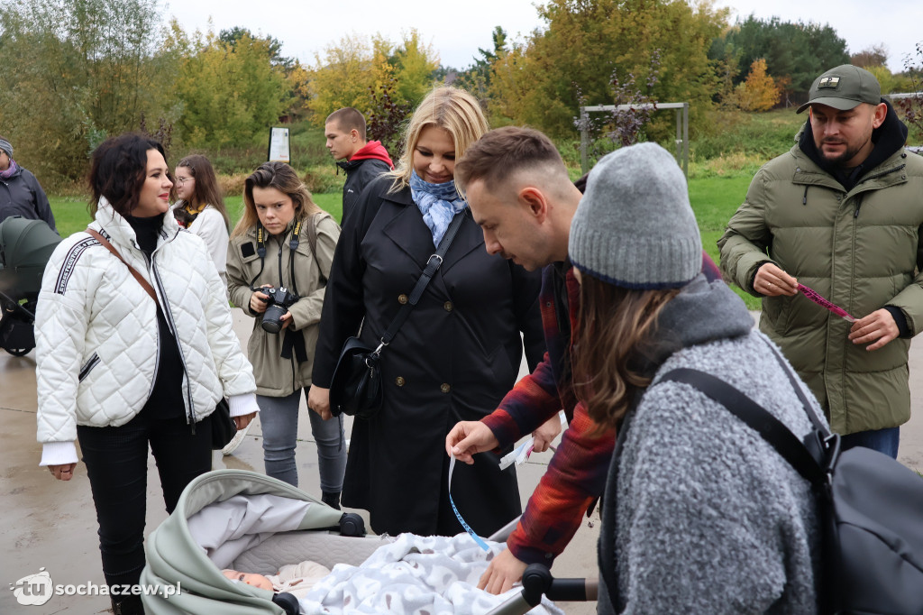 41 nowych drzew na bulwarach