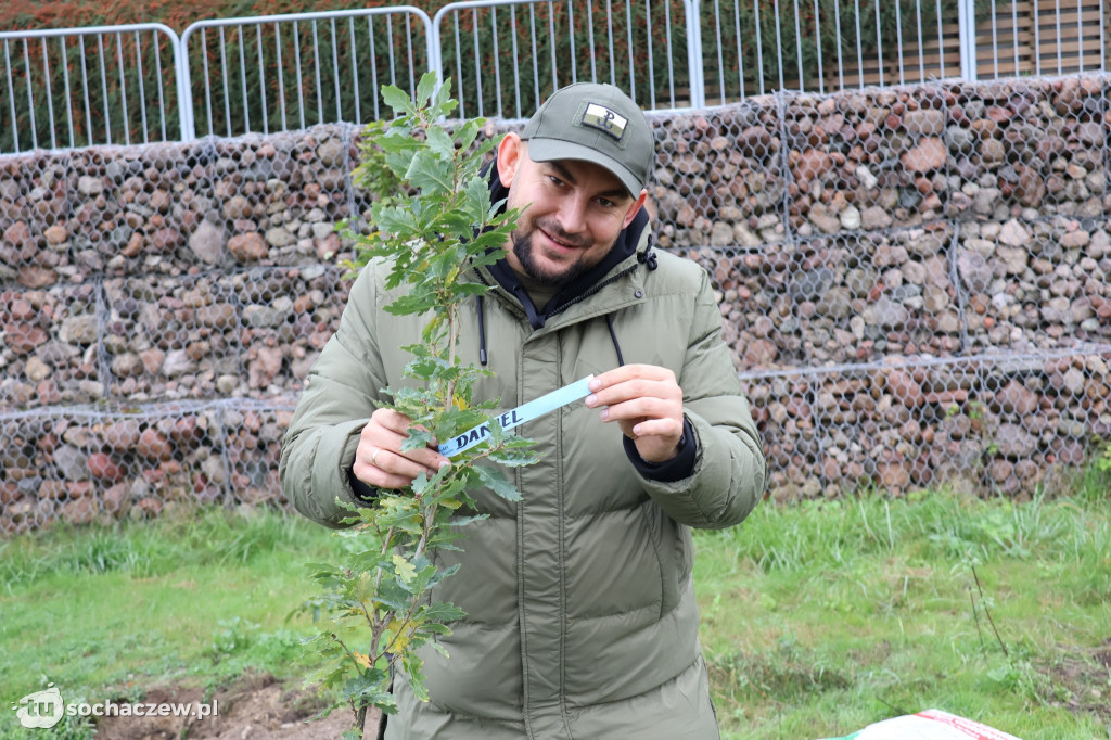 41 nowych drzew na bulwarach