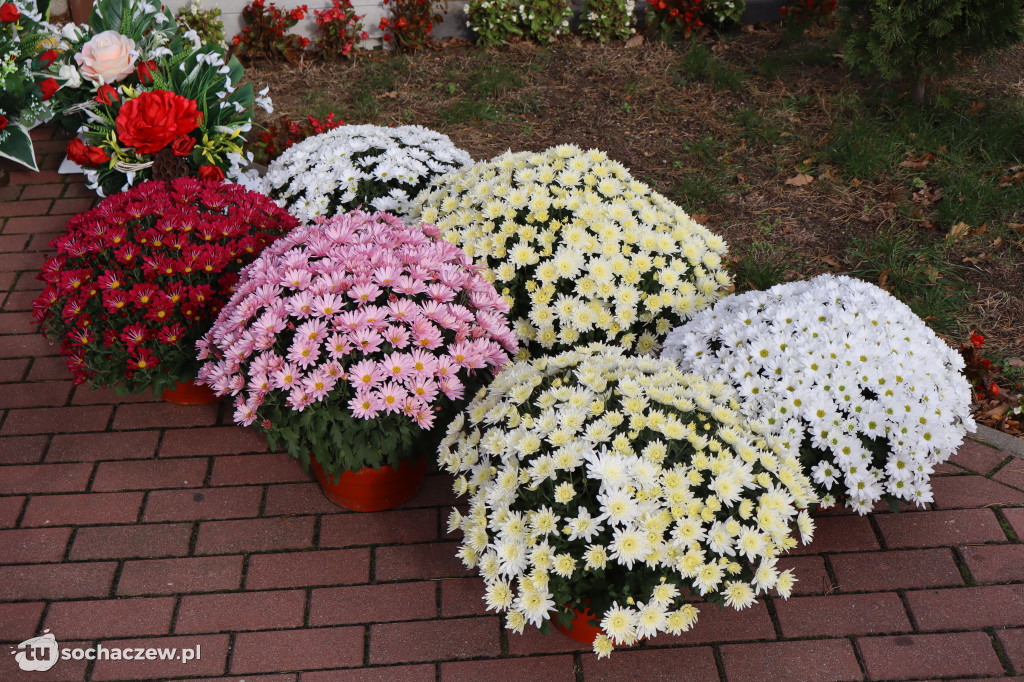 Sochaczew przed Wszystkimi Świętymi