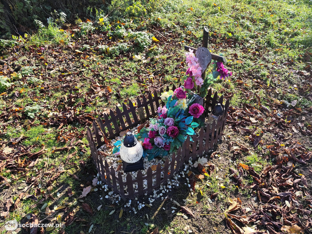 Wszystkich Świętych 2025 w powiecie