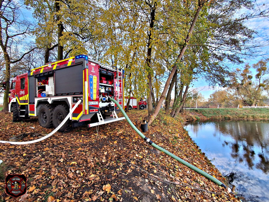 Pożar pustostanu w Młodzieszynie