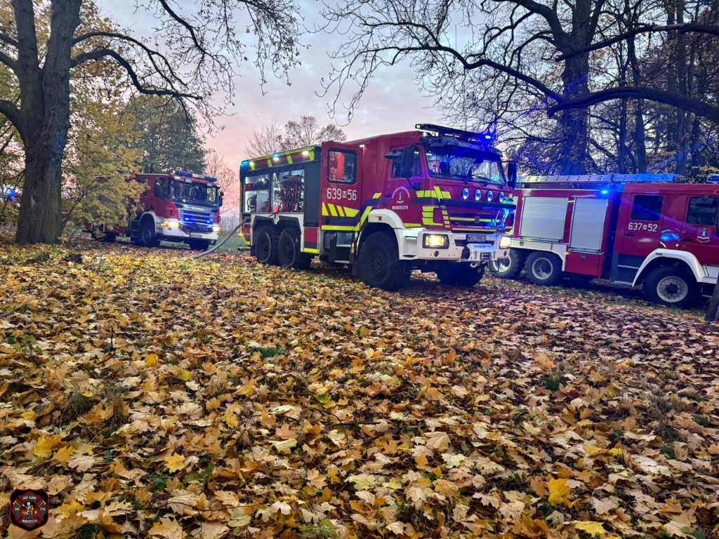Pożar pustostanu w Młodzieszynie