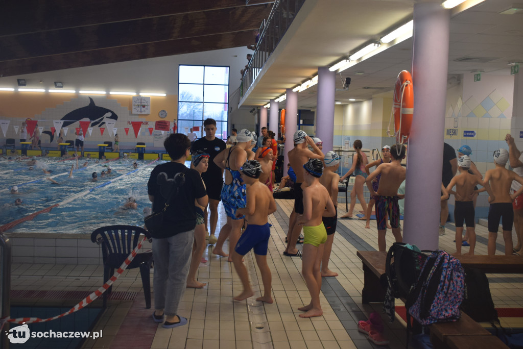 Zawody Pływackie z okazji Święta Niepodległości